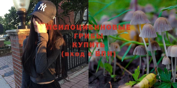а пвп мука Балабаново
