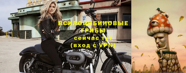 ГАЛЛЮЦИНОГЕННЫЕ ГРИБЫ Балахна
