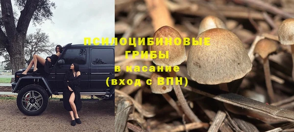 а пвп мука Балабаново