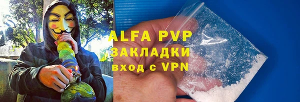 ПСИЛОЦИБИНОВЫЕ ГРИБЫ Снежногорск