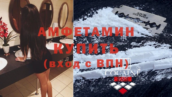 ГАЛЛЮЦИНОГЕННЫЕ ГРИБЫ Балахна