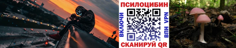 как найти закладки  Невельск  OMG   Галлюциногенные грибы мицелий 
